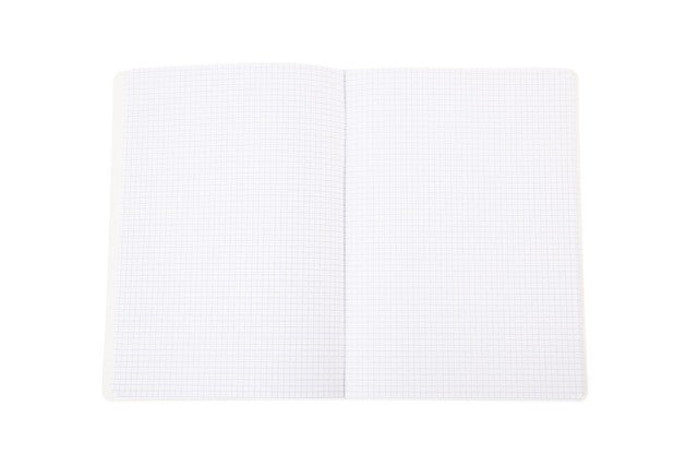 Mintra Lot de 4 cahiers A4 - Agrafé - Petits carreaux 5x5 - Couverture plastique - 96 pages