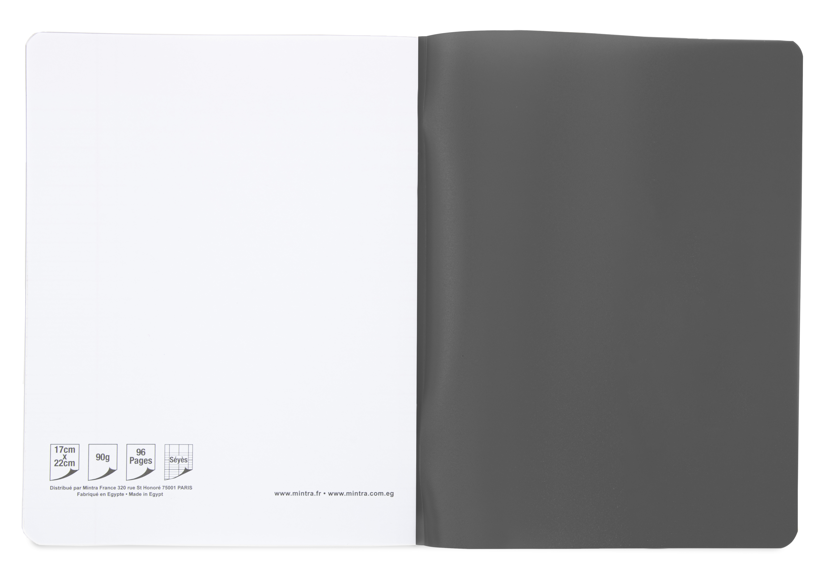 Mintra Cahiers 17X22 - Agrafé - Grands carreaux Seyès - Couverture plastique