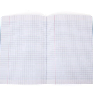 Mintra Pack of 10 notebooks - Stapled - Large Seyès squares - Plastic cover - 96 pages