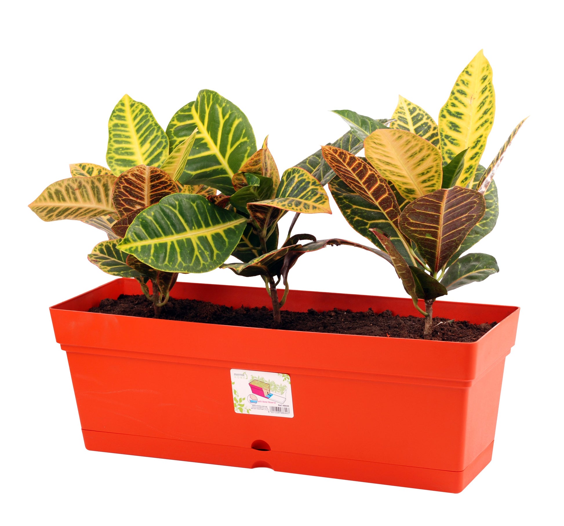 Mintra Home Pot de Jardin Rectangulaire (Large) - Mintra France
