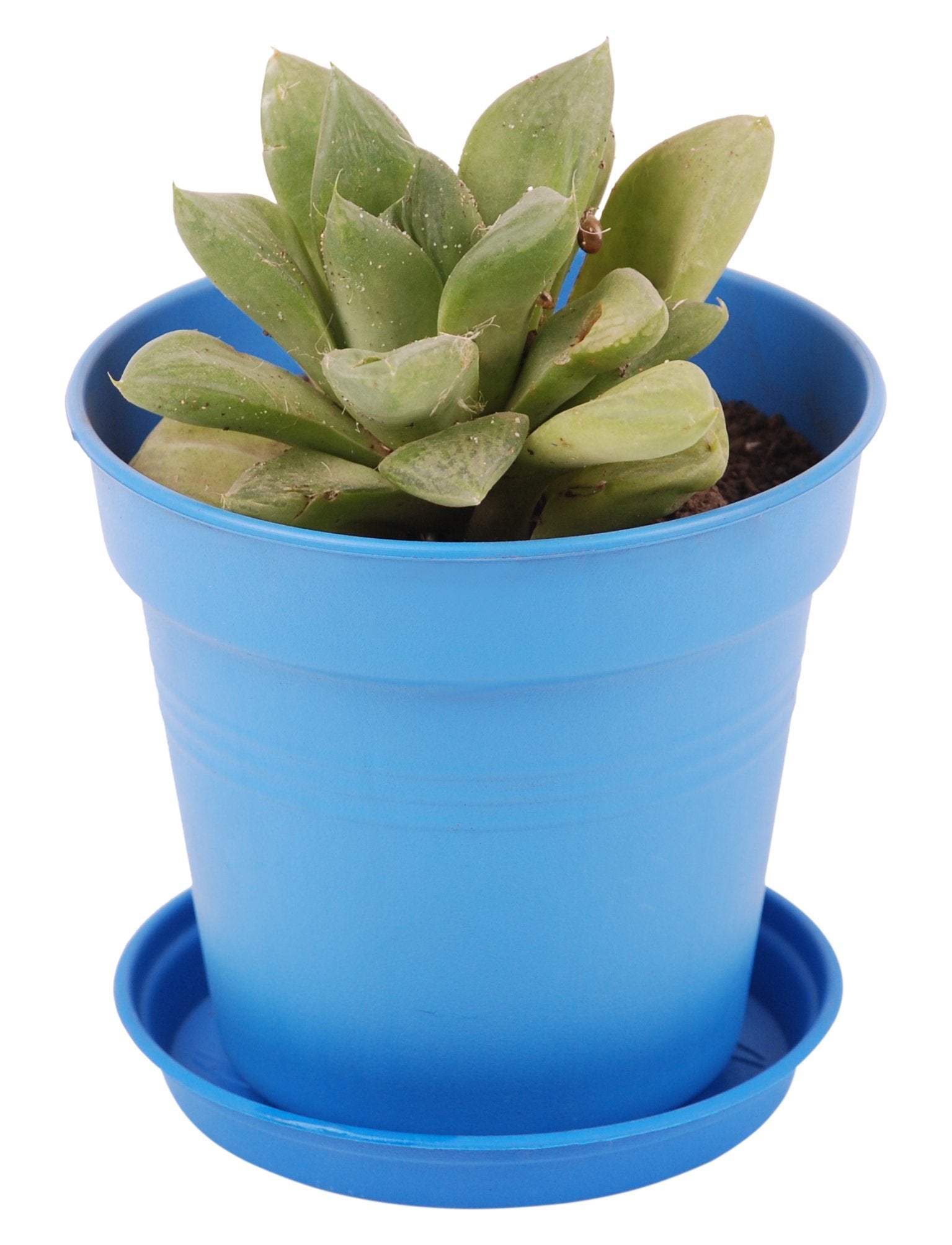Pots de Jardin Rond avec plat circulaire (19 Cm, Lot de 4)