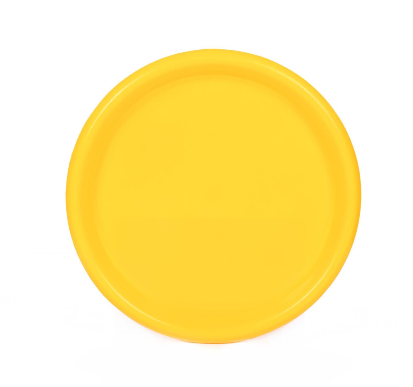 Mintra Home - Assiettes en Plastique - Grand 21.5cm (Lot de 12) - Mintra France