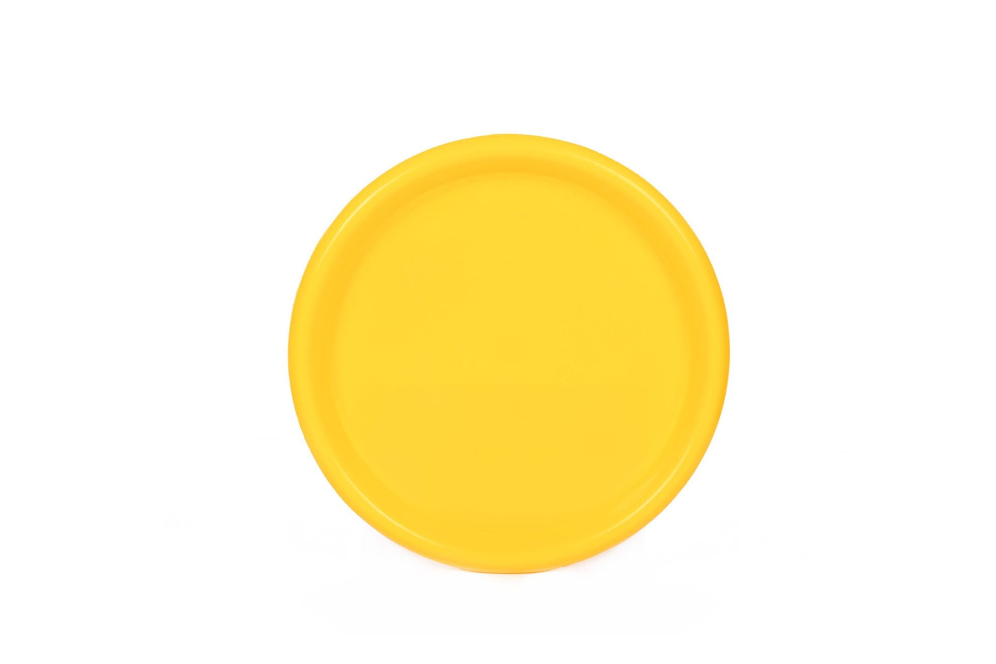 Mintra Home - Assiettes en Plastique - Petit 16.5cm (Lot de 12) - Mintra France