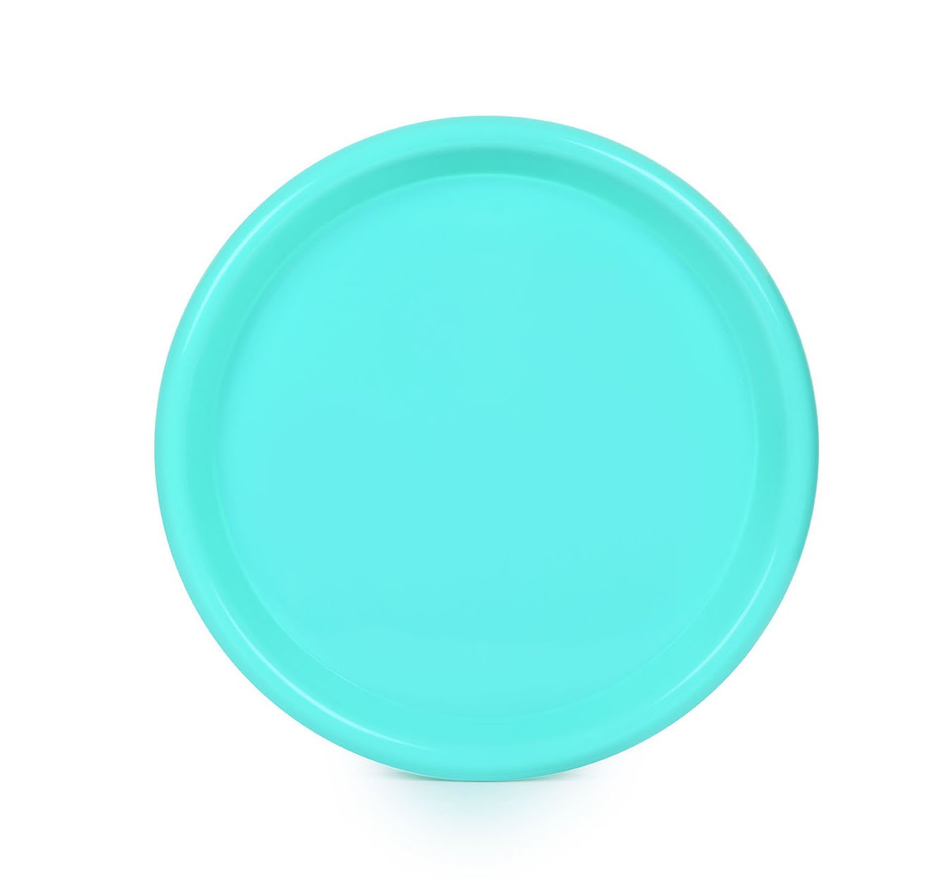 Mintra Home - Assiettes en Plastique - Grand 21.5cm (Lot de 12) - Mintra France