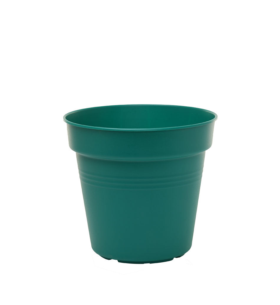 Pots de Jardin Rond avec plat circulaire (15cm, Lot de 4)