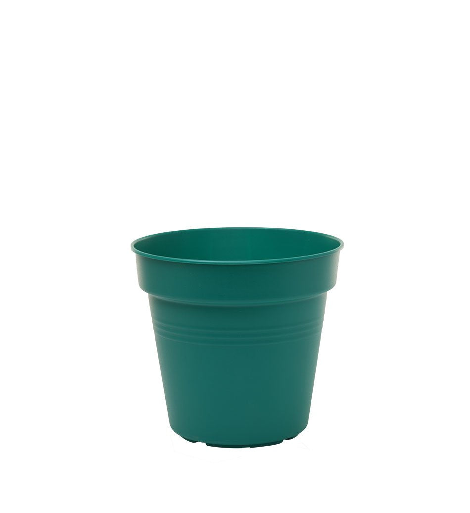 Pots de Jardin Rond avec plat circulaire (11cm, Lot de 4)