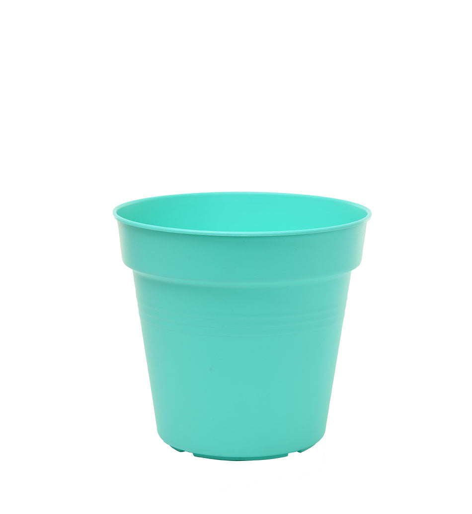 Pots de Jardin Rond avec plat circulaire (15cm, Lot de 4)