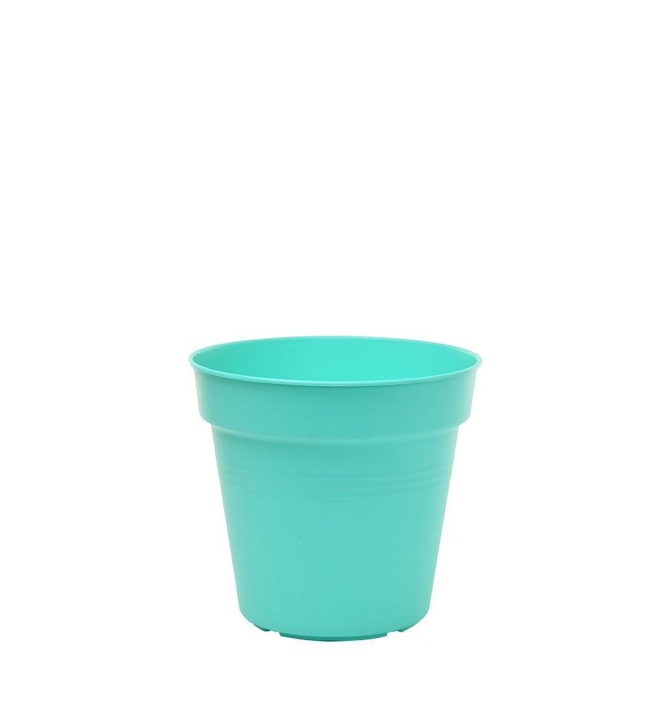 Pots de Jardin Rond avec plat circulaire (11cm, Lot de 4)
