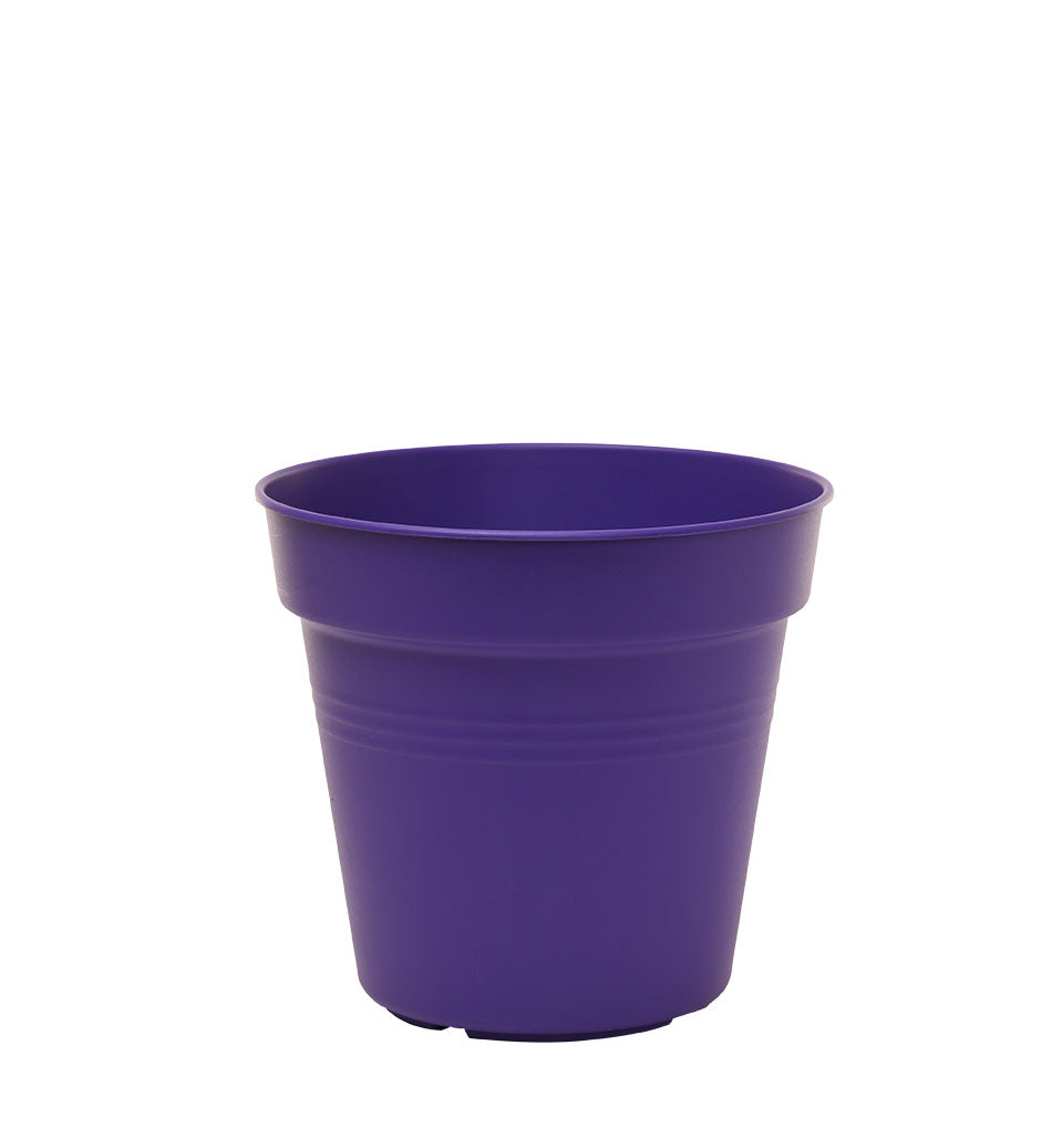 Pots de Jardin Rond avec plat circulaire (15cm, Lot de 4)