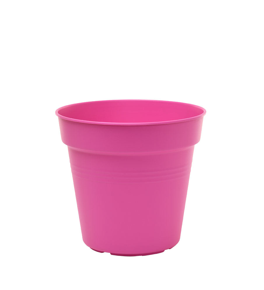 Pots de Jardin Rond avec plat circulaire (15cm, Lot de 4)