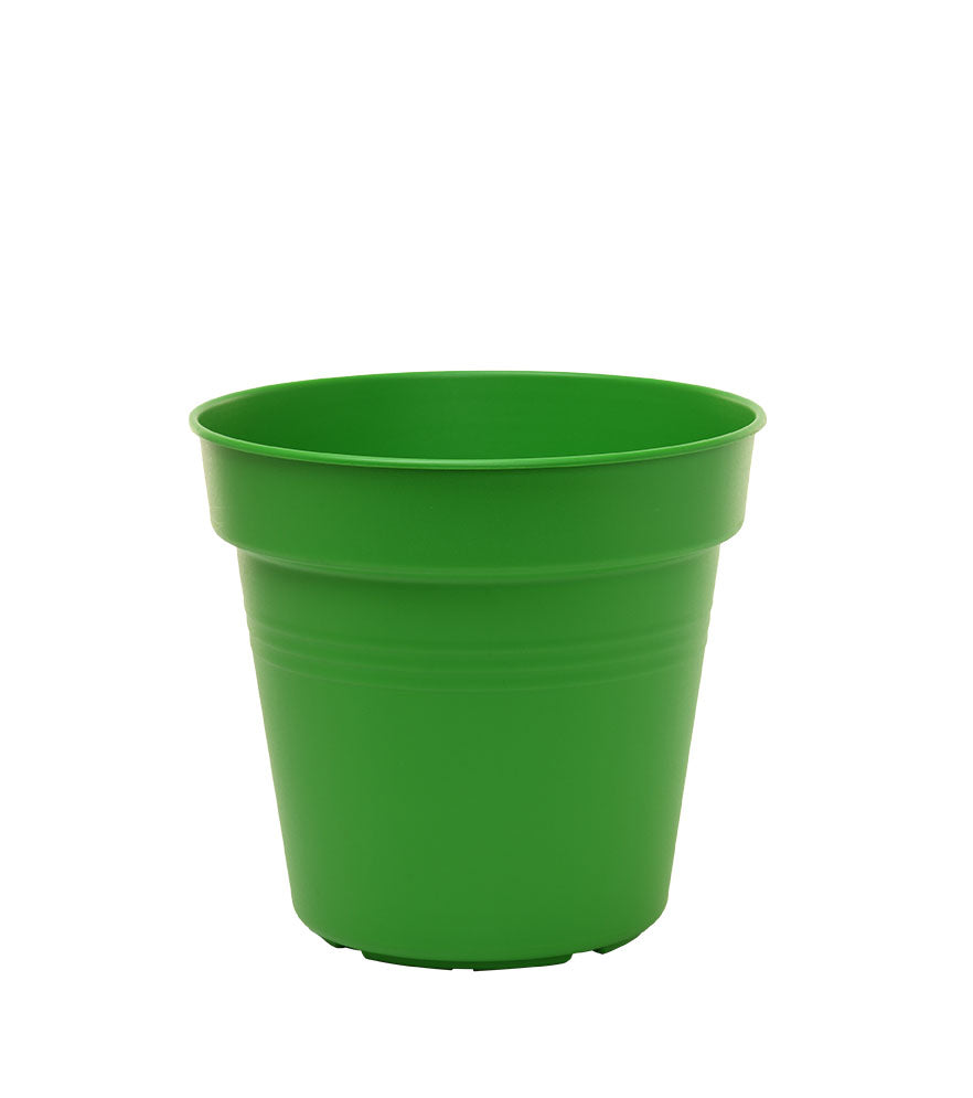 Pots de Jardin Rond avec plat circulaire (15cm, Lot de 4)