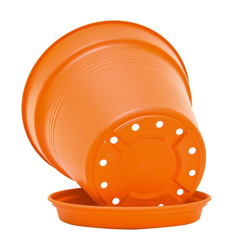Pots de Jardin Rond avec plat circulaire (15cm, Lot de 4)
